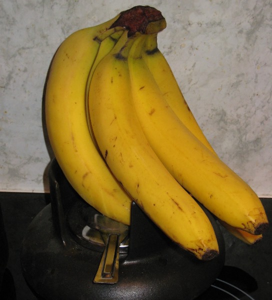 photo of bananas